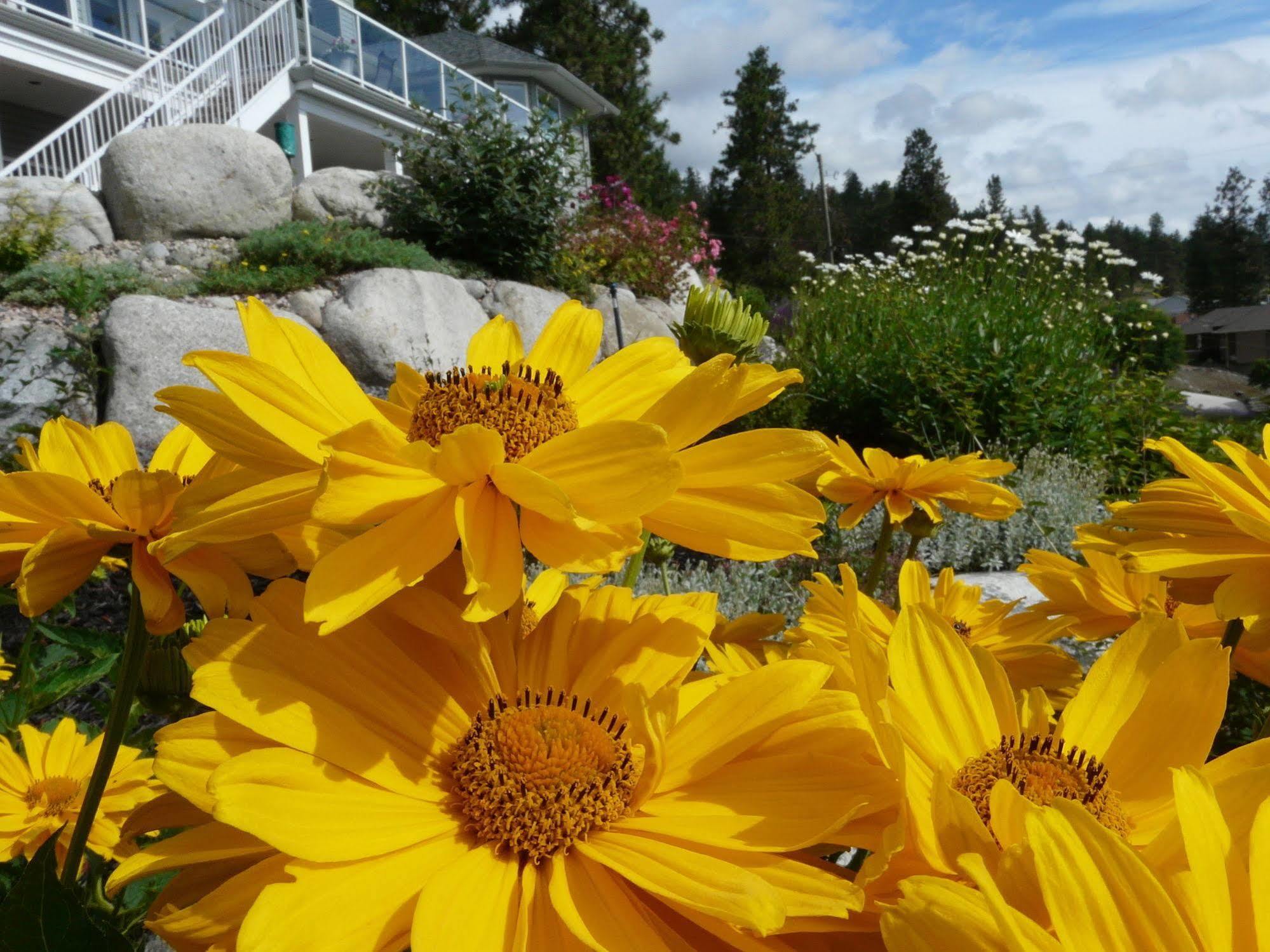 Heartstone B&B Peachland Extérieur photo